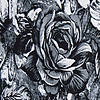 Pieni lisäkuva, jossa Viskoositrikoo ruusut mu-va