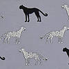 Pieni lisäkuva, jossa Trikoo gepardit vaaleanharmaalla