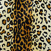 Pieni lisäkuva, jossa Velboa leopardikuviolla