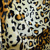 Pieni lisäkuva, jossa Velboa leopardikuviolla
