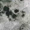 Pieni lisäkuva, jossa Pala 2 raporttia: Luomutrikoo (digiprint) Kuu